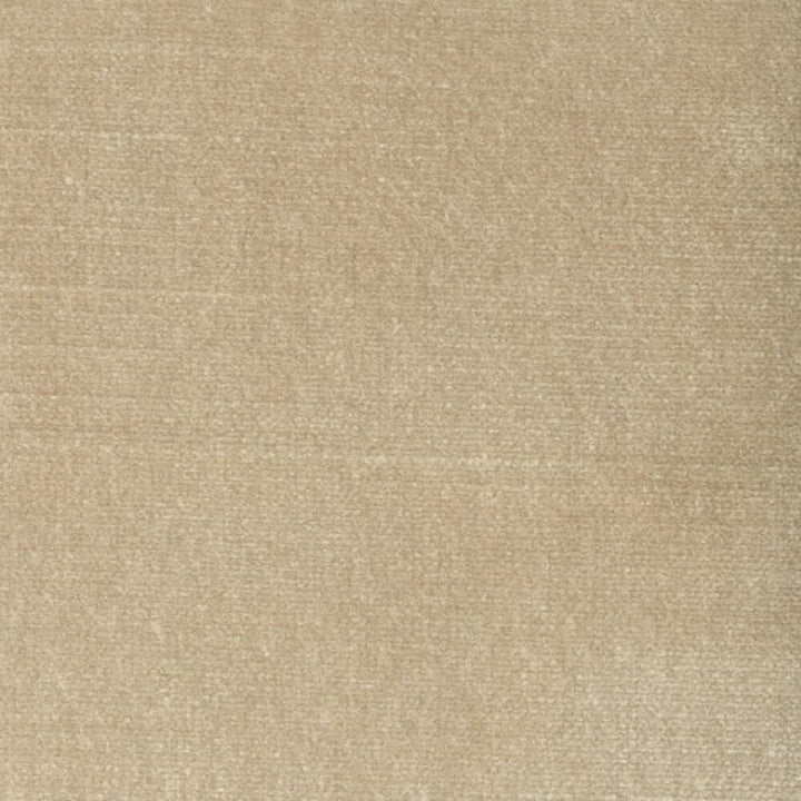 Belgium 3 Champagne by Stout Fabric Stout Fabric Belgium 3 ChampagneFabric Reminiscent Velvet 68%Svi 32%Pol India </p><p>Repeat: H: 0, V: 27 55 in - Fabric Carolina -