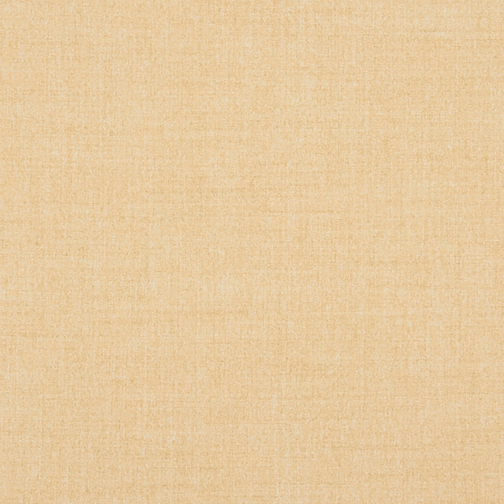 Belleville 11J7031 by JF Crypton Fabric Crypton Binder 100% Polyester Taiwan 50000 Horizontal: and Vertical: 54 - Fabric Carolina -
