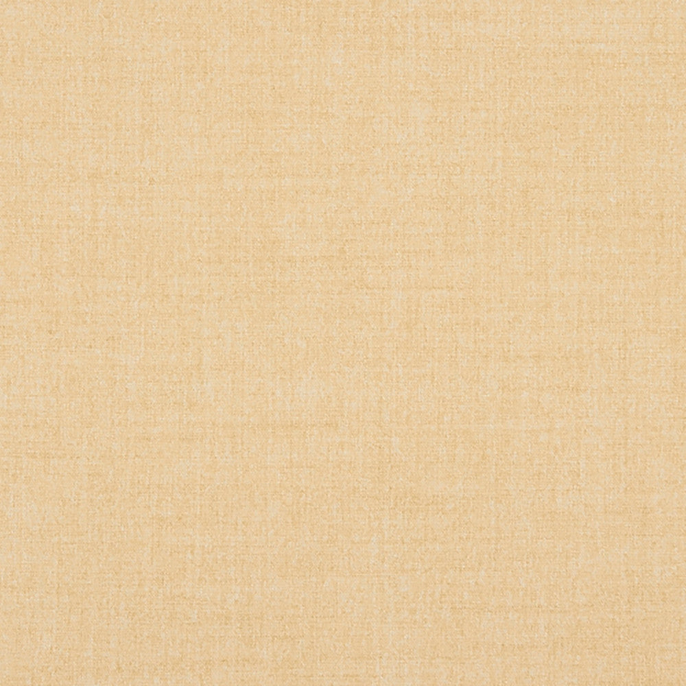Belleville 11J7031 by JF Crypton Fabric Crypton Binder 100% Polyester Taiwan 50000 Horizontal: and Vertical: 54 - Fabric Carolina -