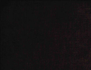 Belmont Truffle 897 by Norbar Fabric BELMONT 62% POLYESTER 38% COTTON INDIA 54 - Fabric Carolina -