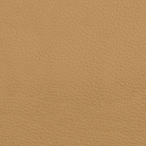 Beluga BEL 3305 Dune by Softside Fabric