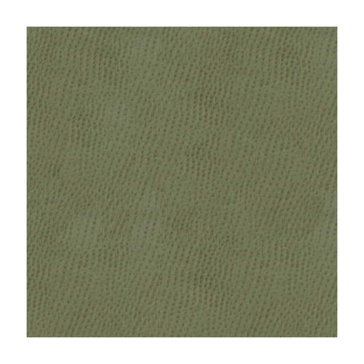 Belus-11 by Kravet Contract Designer Fabric - POLY VINYL CHLORIDE - 100% Taiwan HEAVY Horizontal: - and Vertical: - 54 - Swanky Fabrics -