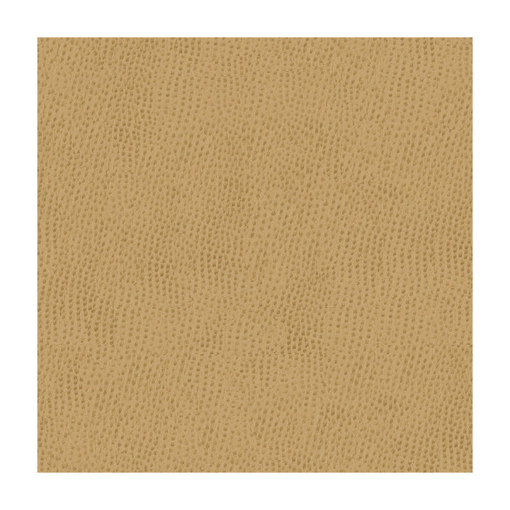 Kravet Contract Belus-1616 by Kravet Contract Fabric Kravet Contract Fabric Kravet Contract Belus-1616Fabric POLY VINYL CHLORIDE - 100% Taiwan </p><p>Repeat: H: , V: 54 - Fabric Carolina -