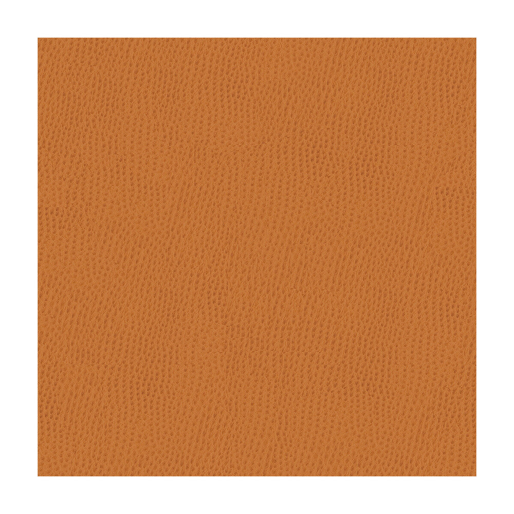 Belus-212 by Kravet Contract Fabric POLY VINYL CHLORIDE - 100% Taiwan HEAVY Horizontal: and Vertical: 54 - Fabric Carolina -
