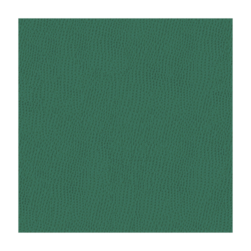 Belus-35 by Kravet Contract Fabric POLY VINYL CHLORIDE - 100% Taiwan HEAVY Horizontal: and Vertical: 54 - Fabric Carolina -