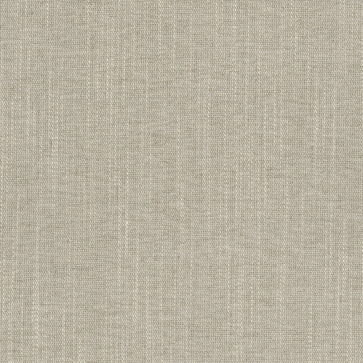 Benson 2 Hemp by Crypton Fabric Crypton Fabric Benson 2 HempFabric LIVING IS EASY CRYPTON SHADES OF NEUTRAL 100%POL CHINA </p><p>Repeat: H: 0.000, V: 0.000 54 in - Fabric Carolina -