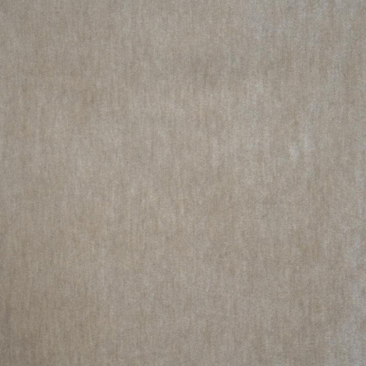 Belluno # 116 Dove by Maxwell Fabric Telafina Season Xvi 50% MOHAIR
50% ACRYLIC TURKEY 55.5" - Fabric Carolina -