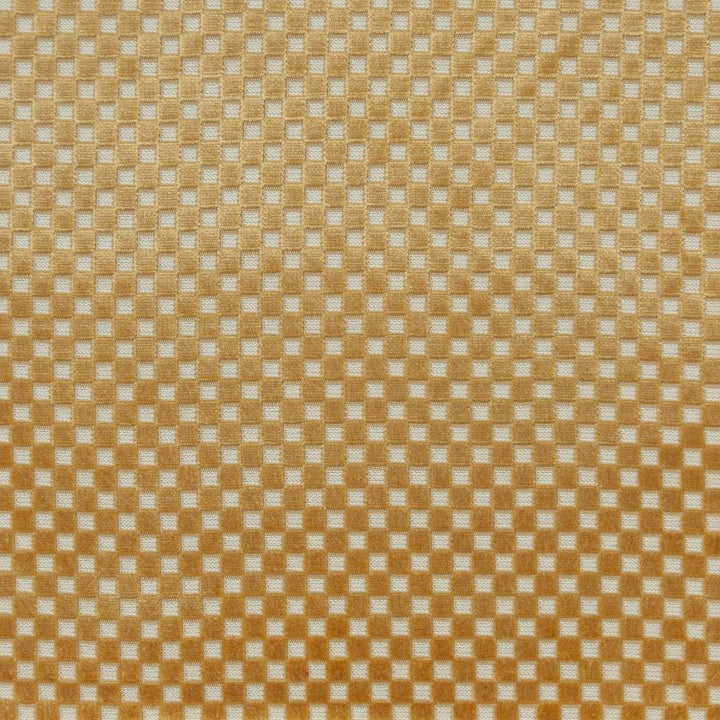 Bolzano # 636 Midas by Maxwell Fabric Performance Cut Velvets 72% VISCOSE
23% POLYESTER
5% COTTON BELGIUM V-0.9"H- 0.8" 55" - Fabric Carolina -