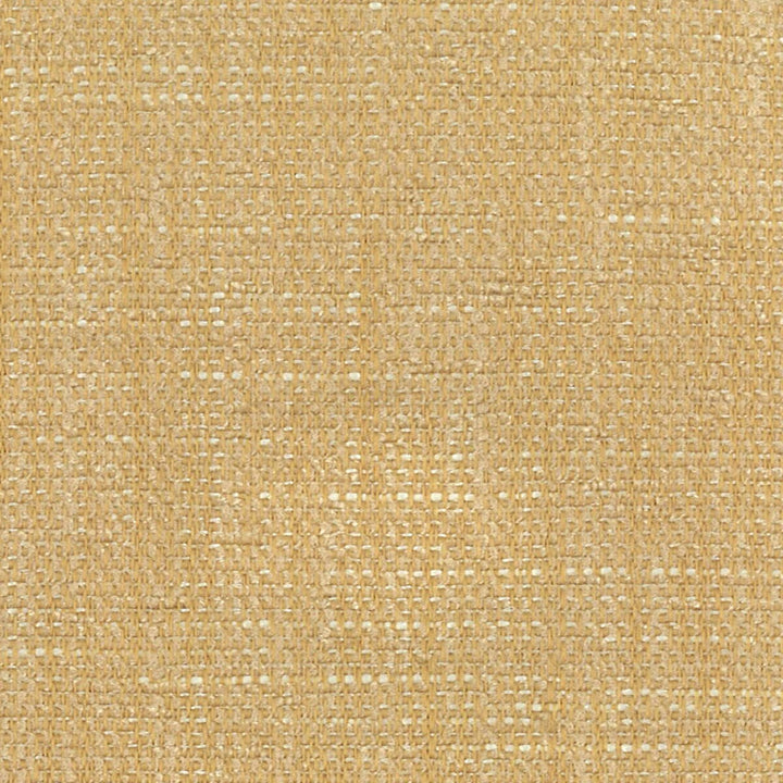 Berlin 15 Sand by Stout Fabric PAINT THE TOWN 100%POL CHINA FLAME RETARDANT-U.F.A.C. CLASS 1 CATB 117-2013 WYZENBEEK 45 000 DOUBLE RUB WEAR TEST (HEAVY DUTY) Horizontal: 0 and Vertical: 0 57 in - Fabric Carolina -