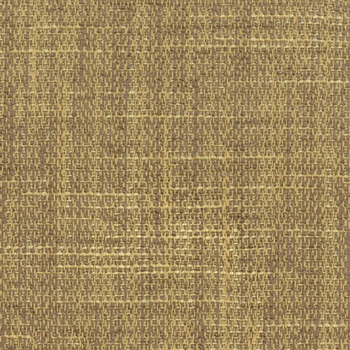 Berlin 18 Brandy by Stout Fabric PAINT THE TOWN 100%POL CHINA FLAME RETARDANT-U.F.A.C. CLASS 1 CATB 117-2013 WYZENBEEK 45 000 DOUBLE RUB WEAR TEST (HEAVY DUTY) Horizontal: 0 and Vertical: 0 57 in - Fabric Carolina -