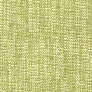 Berlin 35 Seedling by Stout Fabric