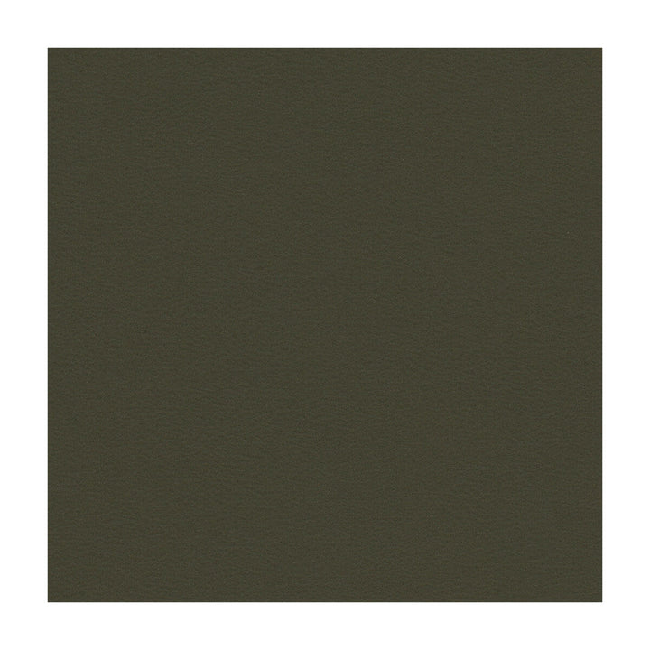 Berta-21 by Kravet Contract Designer Fabric - PVC - ARTIFICIAL LEATHER - 100% Taiwan HEAVY Horizontal: - and Vertical: - 54 - Swanky Fabrics -