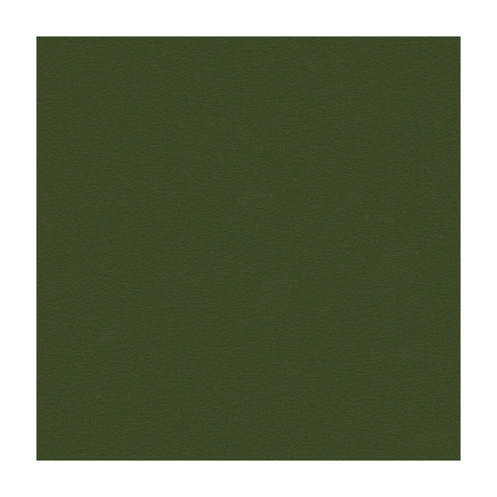 Berta-303 by Kravet Contract Fabric PVC - ARTIFICIAL LEATHER - 100% Taiwan HEAVY Horizontal: and Vertical: 54 - Fabric Carolina -