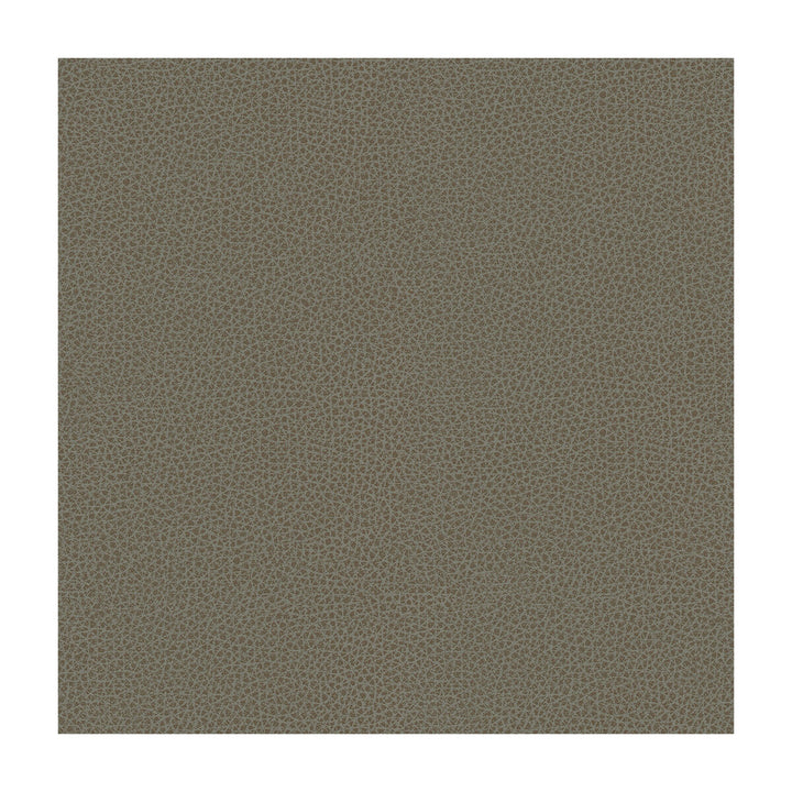 Bess-11 by Kravet Contract Designer Fabric - POLY VINYL CHLORIDE - 100% Taiwan HEAVY Horizontal: - and Vertical: - 54 - Swanky Fabrics -