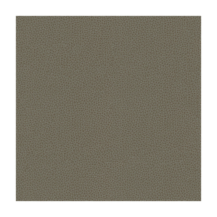 Bess-11 by Kravet Contract Fabric - POLY VINYL CHLORIDE - 100% Taiwan HEAVY Horizontal: - and Vertical: - 54 - Fabric Carolina -