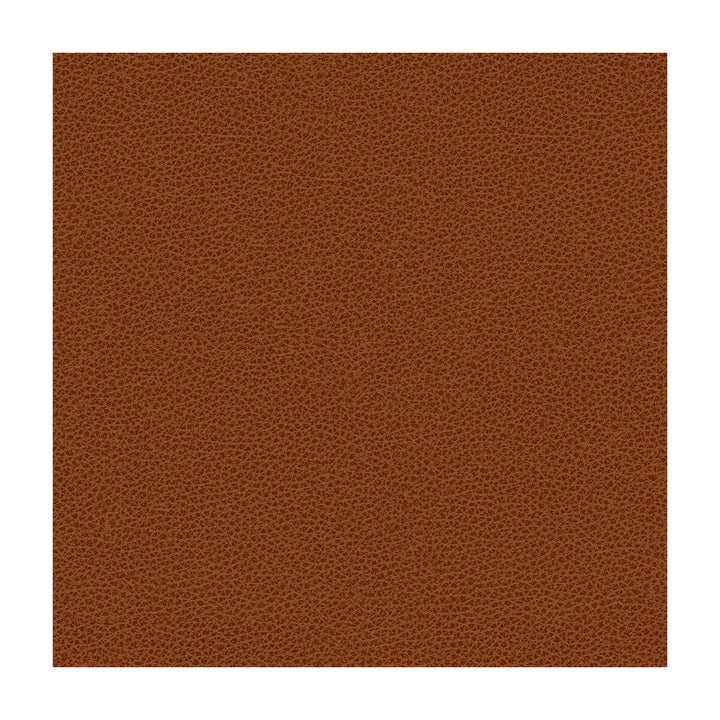 Bess-24 by Kravet Contract Designer Fabric POLY VINYL CHLORIDE - 100% Taiwan HEAVY Horizontal: and Vertical: 54 - Swanky Fabrics -