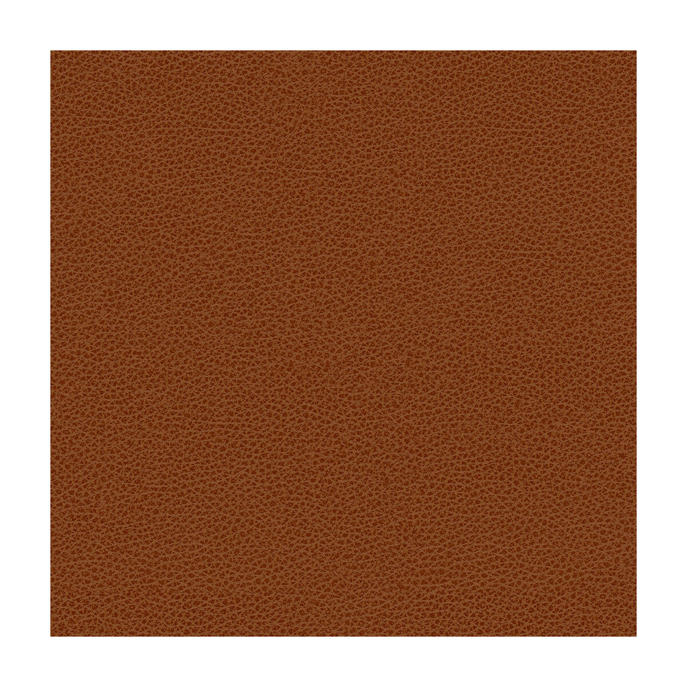 Bess-24 by Kravet Contract Designer Fabric POLY VINYL CHLORIDE - 100% Taiwan HEAVY Horizontal: and Vertical: 54 - Swanky Fabrics -