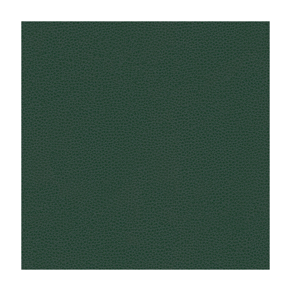 Bess-5 by Kravet Contract Designer Fabric POLY VINYL CHLORIDE - 100% Taiwan HEAVY Horizontal: and Vertical: 54 - Swanky Fabrics -