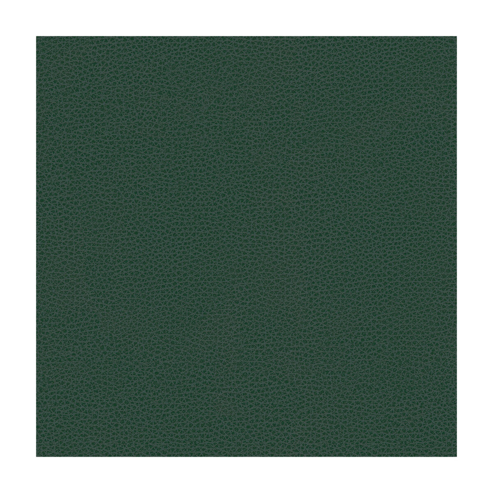 Bess-5 by Kravet Contract Fabric - POLY VINYL CHLORIDE - 100% Taiwan HEAVY Horizontal: - and Vertical: - 54 - Fabric Carolina -