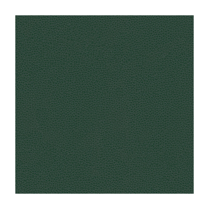 Bess-5 by Kravet Contract Fabric POLY VINYL CHLORIDE - 100% Taiwan HEAVY Horizontal: and Vertical: 54 - Fabric Carolina -