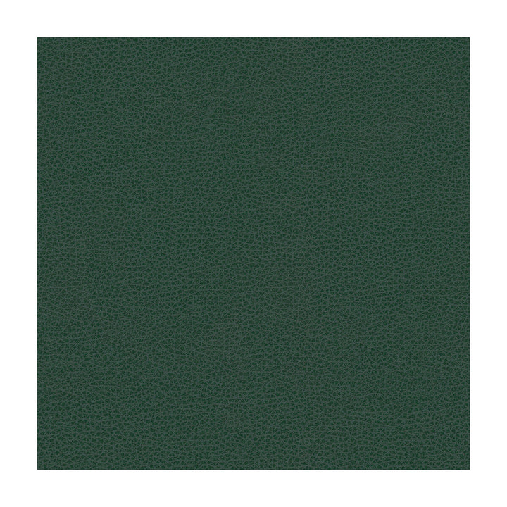 Bess-5 by Kravet Contract Designer Fabric POLY VINYL CHLORIDE - 100% Taiwan HEAVY Horizontal: and Vertical: 54 - Swanky Fabrics -