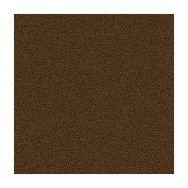 Bess-6 by Kravet Contract Fabric - POLY VINYL CHLORIDE - 100% Taiwan HEAVY Horizontal: - and Vertical: - 54 - Fabric Carolina -