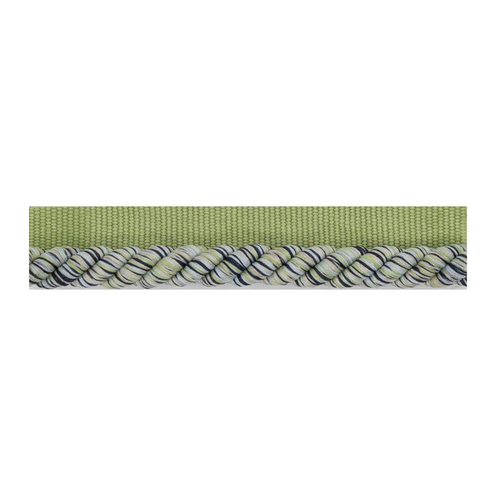 Bestow Cord 5 Jungle by Stout Designer Trim SMALL WONDERS TRIM 54%COT 46%POL CHINA Horizontal: 0.375 and Vertical: 0.000 0.38 in - Swanky Fabrics -