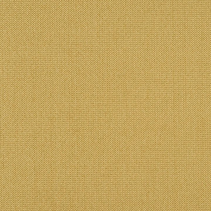 Bethany 72J7031 by JF Crypton Fabric Crypton Binder 100% Polyester China 50000 Horizontal: and Vertical: 54 - Fabric Carolina -