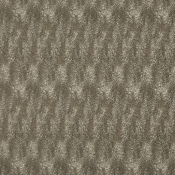 Gosford Woodsmoke by G P & J Baker Fabric COSMOPOLITAN COTTON - 43%;VISCOSE - 32%;POLYESTER - 25% Italy MEDIUM Horizontal: 6.698 and Vertical: 18.518 53.978 - Fabric Carolina -