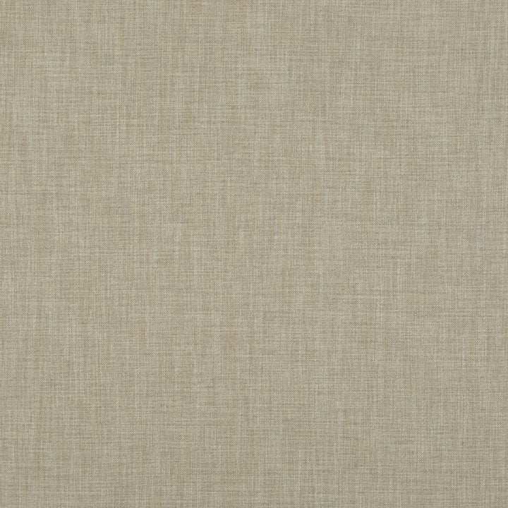 Canyon Sage by G P & J Baker Fabric G P & J Baker Fabric Canyon SageFabric ESSENTIAL COLOURS VISCOSE - 52%;LINEN - 42%;POLYESTER - 6% Italy </p><p>Repeat: H: , V: 53.978 - Fabric Carolina -