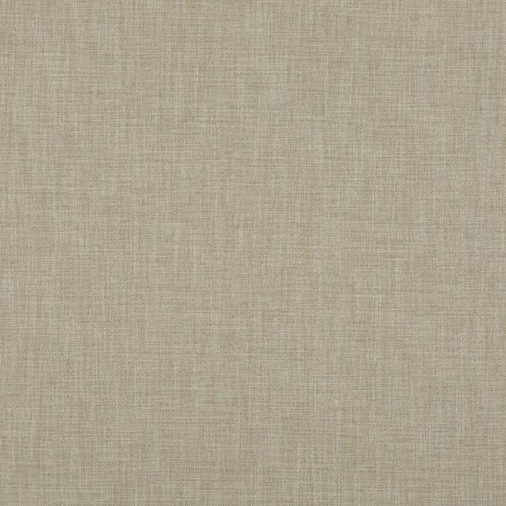 Canyon Sage by G P & J Baker Fabric ESSENTIAL COLOURS VISCOSE - 52%;LINEN - 42%;POLYESTER - 6% Italy HEAVY Horizontal: and Vertical: 53.978 - Fabric Carolina -