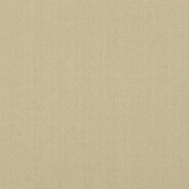 Magma Sand by G P & J Baker Fabric ESSENTIAL COLOURS LINEN - 42%;VISCOSE - 28%;COTTON - 24%;POLYESTER - 6% Italy HEAVY Horizontal: and Vertical: 52.008 - Fabric Carolina -