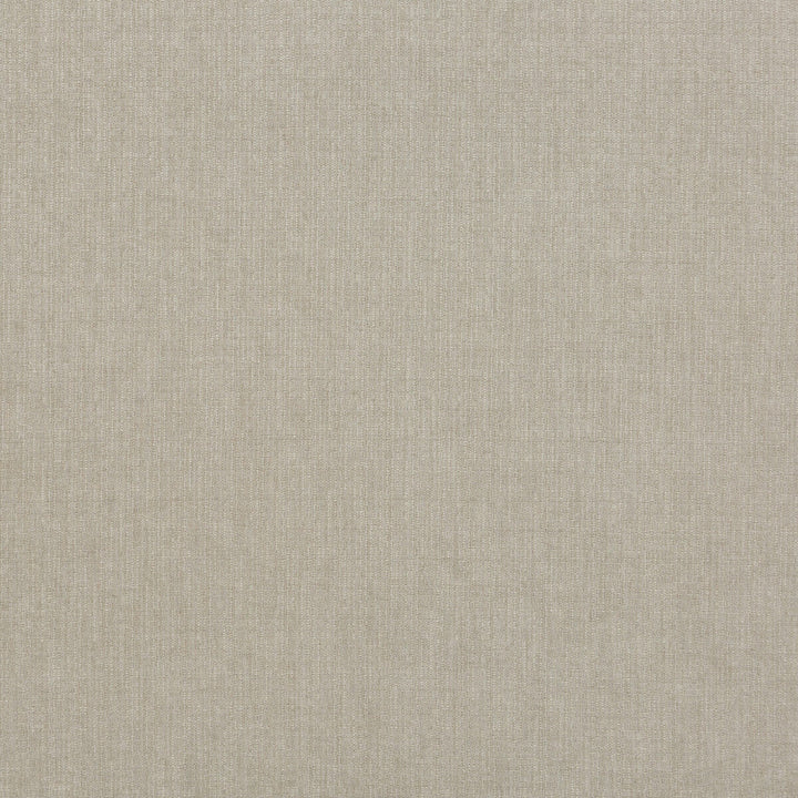 Blizzard Silver by G P & J Baker Designer Fabric ESSENTIAL COLOURS II VISCOSE - 45%;COTTON - 35%;LINEN - 16%;POLYESTER - 4% Italy HEAVY Horizontal: and Vertical: 53.978 - Swanky Fabrics -