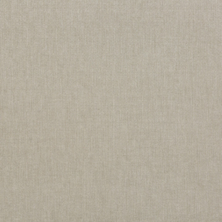 Blizzard Silver by G P & J Baker Fabric ESSENTIAL COLOURS II VISCOSE - 45%;COTTON - 35%;LINEN - 16%;POLYESTER - 4% Italy HEAVY Horizontal: and Vertical: 53.978 - Fabric Carolina -