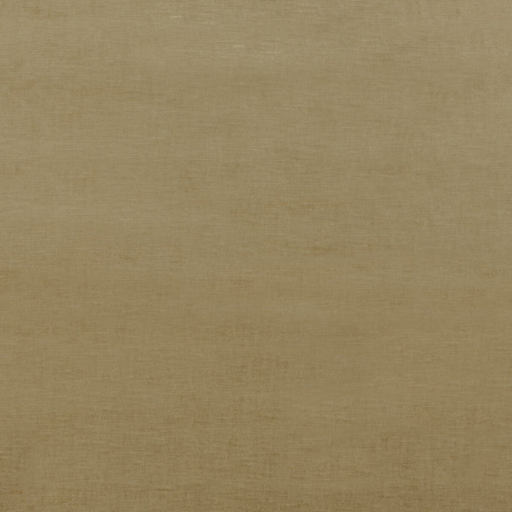 Essential Velvet Camel by G P & J Baker Designer Fabric ESSENTIAL COLOURS VISCOSE - 51%;COTTON - 40%;POLYESTER - 9% Italy HEAVY Horizontal: and Vertical: 55.16 - Swanky Fabrics -