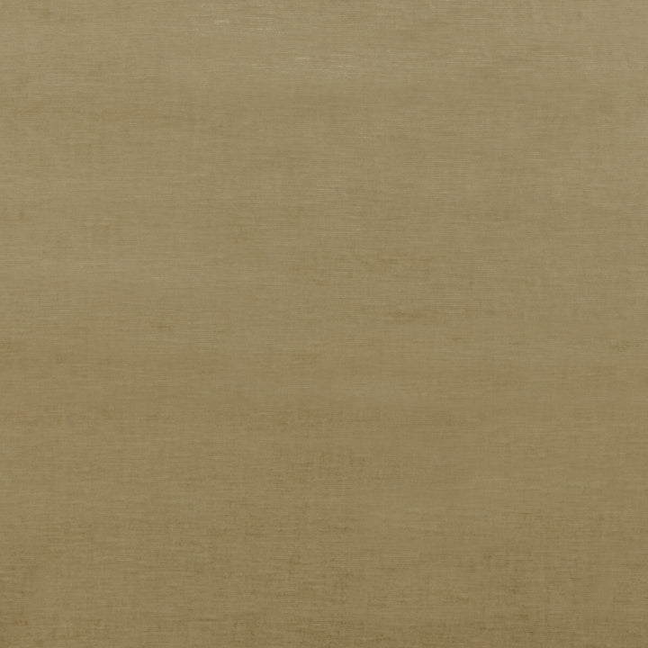 Essential Velvet Camel by G P & J Baker Fabric ESSENTIAL COLOURS VISCOSE - 51%;COTTON - 40%;POLYESTER - 9% Italy HEAVY Horizontal: and Vertical: 55.16 - Fabric Carolina -
