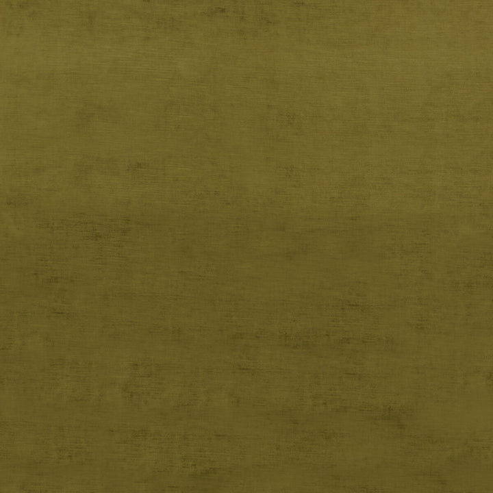 Essential Velvet Moss by G P & J Baker Fabric ESSENTIAL COLOURS VISCOSE - 51%;COTTON - 40%;POLYESTER - 9% Italy HEAVY Horizontal: and Vertical: 55.16 - Fabric Carolina -