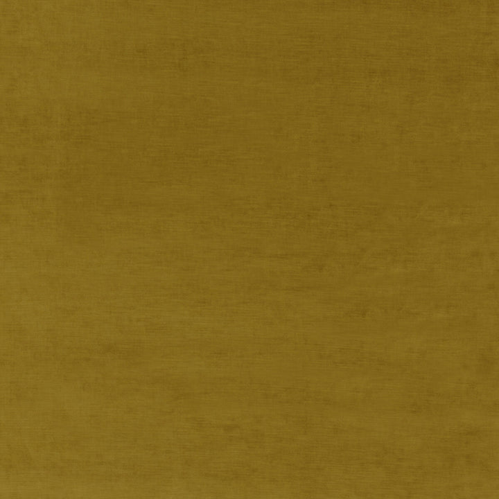 Essential Velvet Mustard by G P & J Baker Fabric ESSENTIAL COLOURS VISCOSE - 51%;COTTON - 40%;POLYESTER - 9% Italy HEAVY Horizontal: and Vertical: 55.16 - Fabric Carolina -