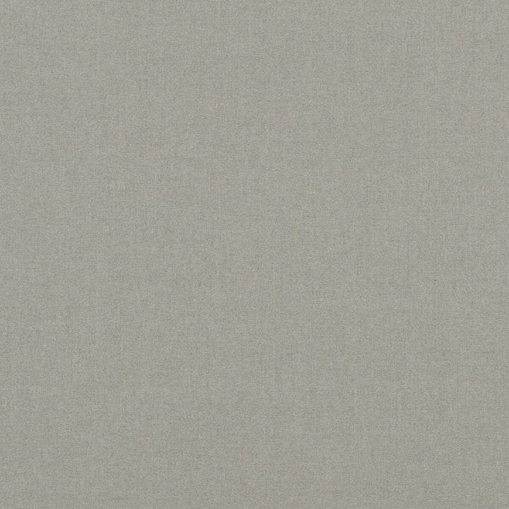 Halki Linen Dove by G P & J Baker Fabric BAKER VINTAGE LINENS VISCOSE - 68%;LINEN - 17%;COTTON - 10%;POLYESTER - 4%;OTHER - 1% Italy HEAVY Horizontal: and Vertical: 53.978 - Fabric Carolina -