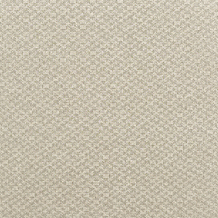 Dara Oatmeal by G P & J Baker Designer Fabric ESSENTIAL COLOURS II VISCOSE - 42%;COTTON - 32%;LINEN - 22%;POLYESTER - 4% Italy - Horizontal: 1.182 and Vertical: 0.788 53.978 - Swanky Fabrics -