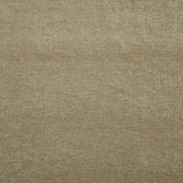 Kendal Velvet Sand by G P & J Baker Fabric G P & J Baker Fabric Kendal Velvet SandFabric KESWICK VELVETS COTTON - 50%;VISCOSE - 50% Italy </p><p>Repeat: H: , V: 55.16 - Fabric Carolina -