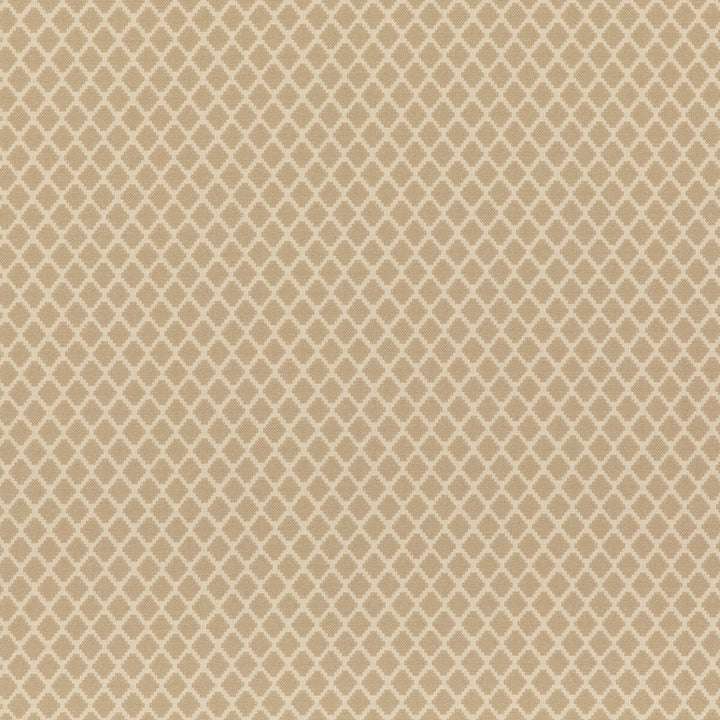 Cheswell Stone by G P & J Baker Fabric COROMANDEL COTTON - 69%;LINEN - 31% France HEAVY Horizontal: 1.182 and Vertical: 1.576 53.19 - Fabric Carolina -