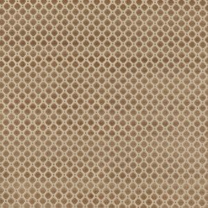 Indus Velvet Oyster by G P & J Baker Fabric