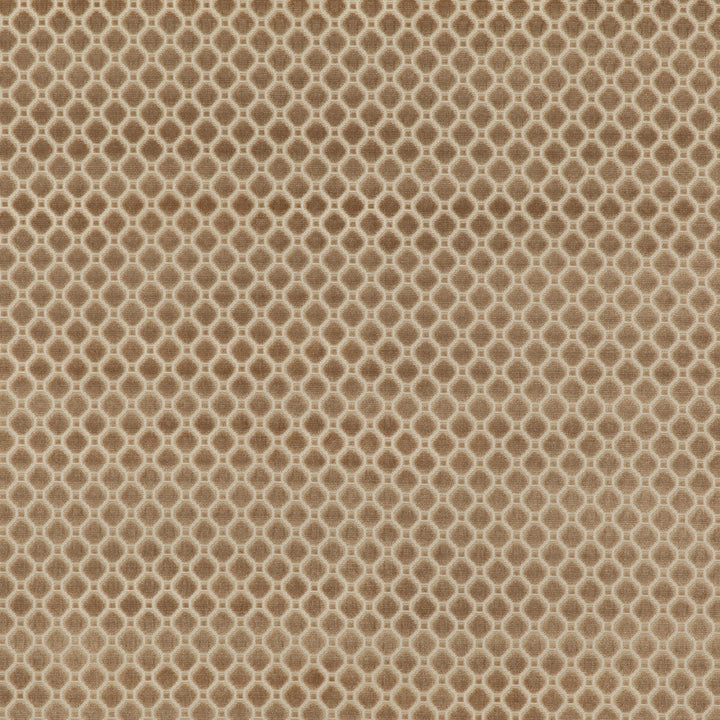 Indus Velvet Oyster by G P & J Baker Fabric COROMANDEL VELVETS VISCOSE - 100% Belgium HEAVY Horizontal: 1.379 and Vertical: 1.379 53.978 - Fabric Carolina -