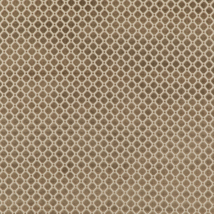 Indus Velvet Mole by G P & J Baker Fabric COROMANDEL VELVETS VISCOSE - 100% Belgium HEAVY Horizontal: 1.379 and Vertical: 1.379 53.978 - Fabric Carolina -