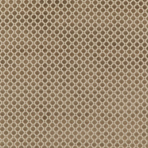 Indus Velvet Mole by G P & J Baker Fabric