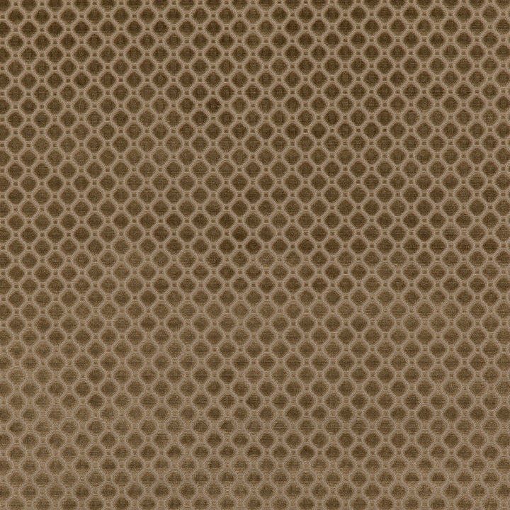 Indus Velvet Mink by G P & J Baker Fabric COROMANDEL VELVETS VISCOSE - 100% Belgium HEAVY Horizontal: 1.379 and Vertical: 1.379 53.978 - Fabric Carolina -