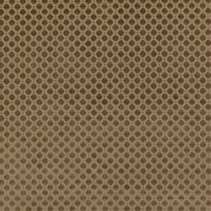 Indus Velvet Mink by G P & J Baker Fabric
