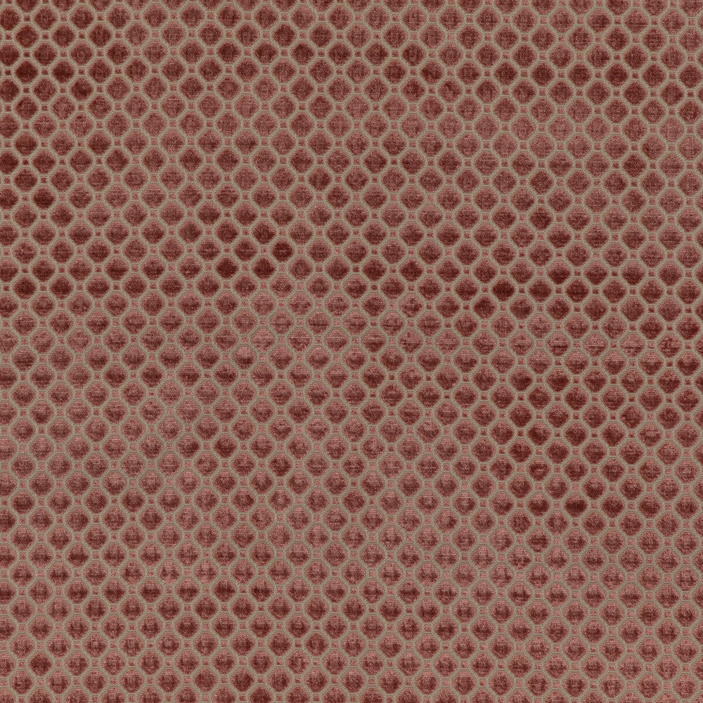 Indus Velvet Blush by G P & J Baker Fabric COROMANDEL VELVETS VISCOSE - 100% Belgium HEAVY Horizontal: 1.379 and Vertical: 1.379 53.978 - Fabric Carolina -