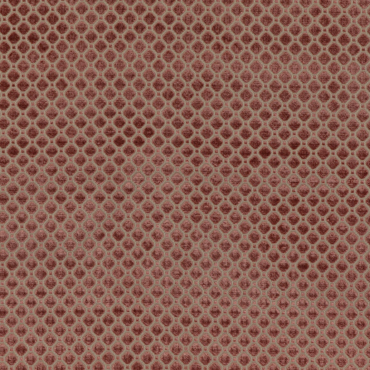 Indus Velvet Blush by G P & J Baker Fabric COROMANDEL VELVETS VISCOSE - 100% Belgium HEAVY Horizontal: 1.379 and Vertical: 1.379 53.978 - Fabric Carolina -
